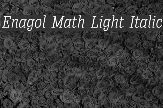 Enagol Math Light Italic Example 1