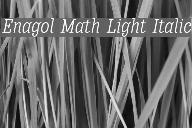 Enagol Math Light Italic Example 2