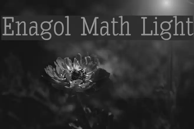 Enagol Math Light Font examples