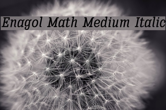 Enagol Math Medium Italic Font examples