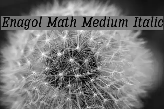 Enagol Math Medium Italic Example 1