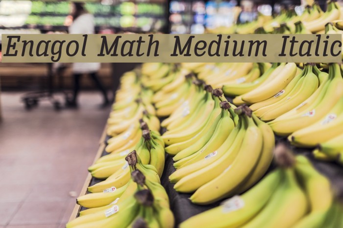 Enagol Math Medium Italic Font examples