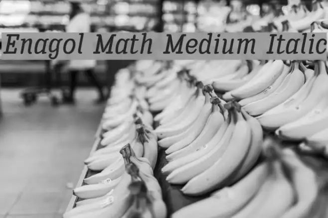 Enagol Math Medium Italic Example 2