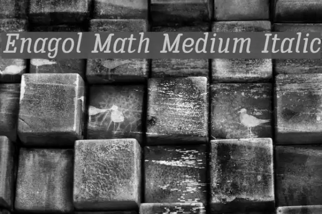 Enagol Math Medium Italic Example 3