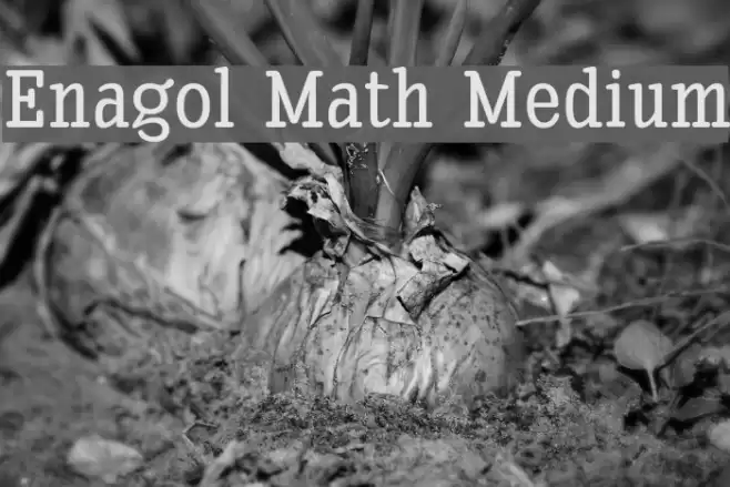Enagol Math Medium Font examples