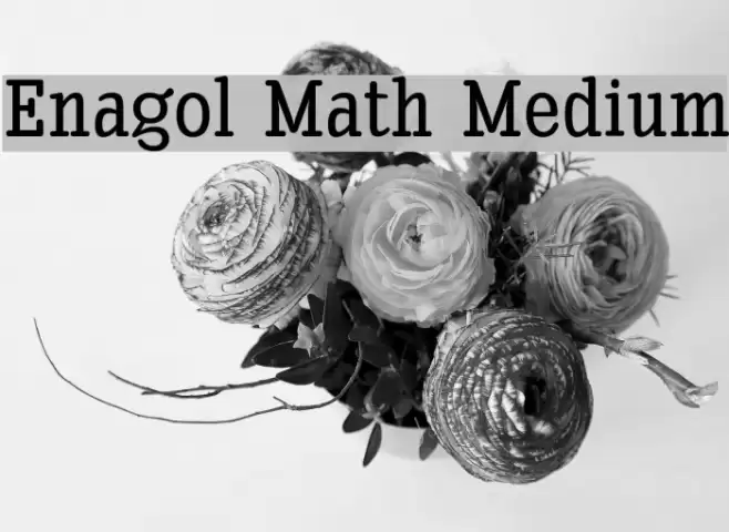 Enagol Math Medium Font examples