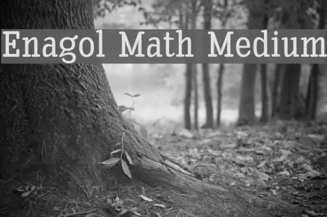Enagol Math Medium Font examples