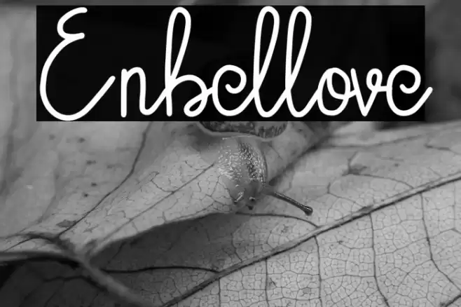 Enbellove Font examples