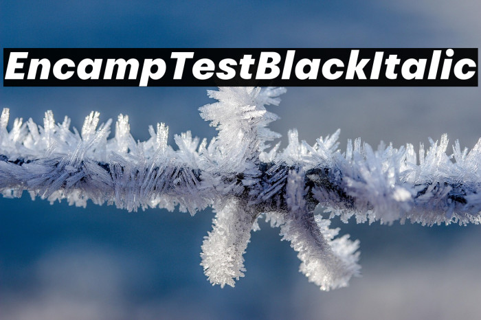 Encamp Test Black Italic Example 1