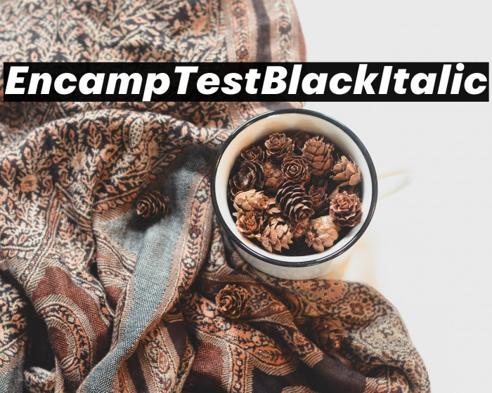 Encamp Test Black Italic Example 3