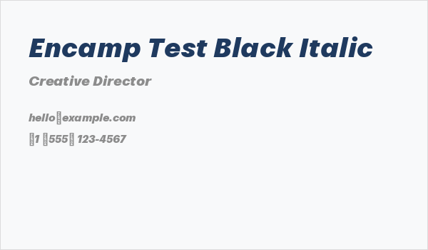 Encamp Test Black Italic Business Card