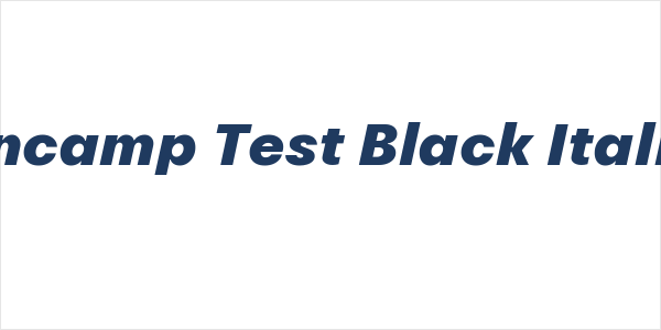 Encamp Test Black Italic Logo