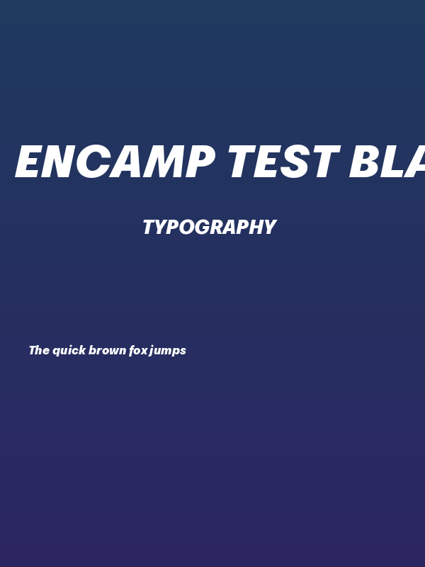 Encamp Test Black Italic Poster