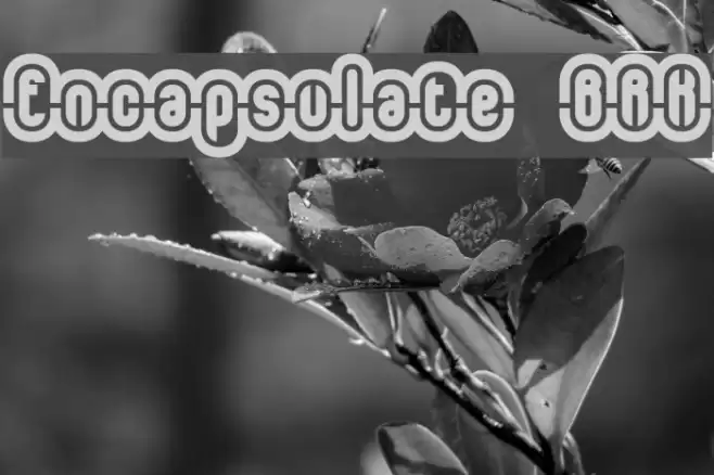 Encapsulate BRK Font examples