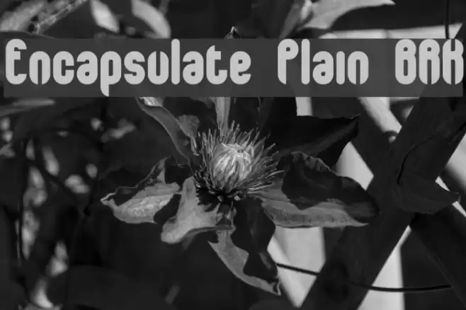 Encapsulate Plain BRK Font examples