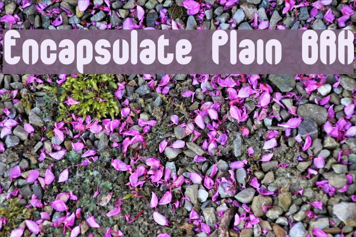 Encapsulate Plain BRK Font examples