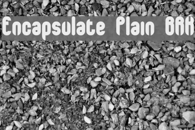 Encapsulate Plain BRK Font examples