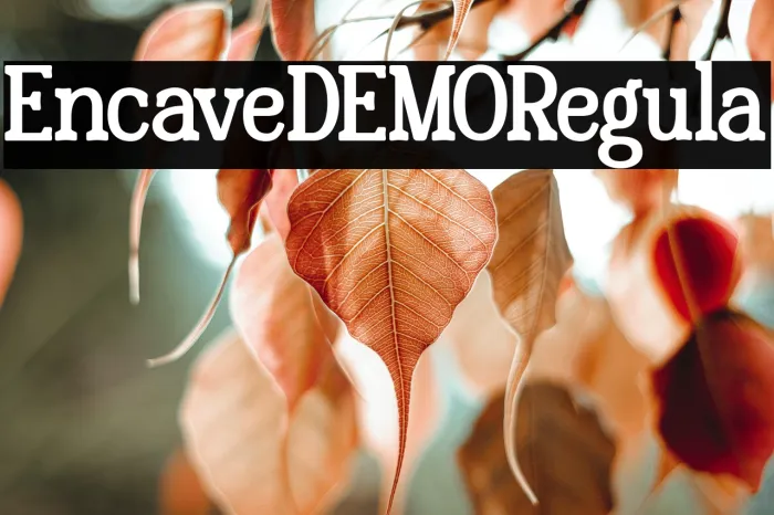 Encave DEMO Regular Example 2