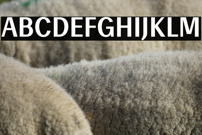 Enceladus-Bold Example 1