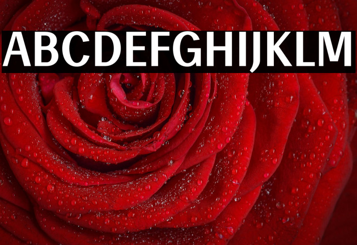 Enceladus-Bold Example 2