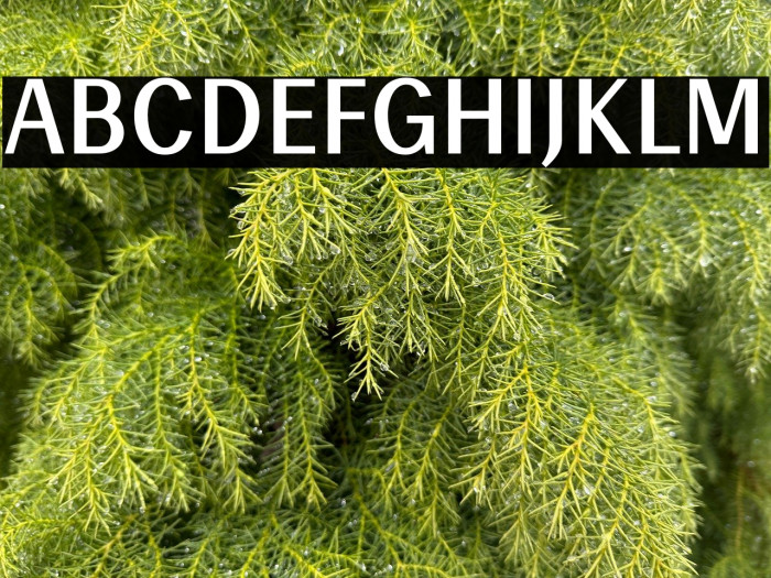 Enceladus-DemiBold Example 1