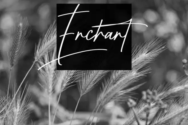 Enchant Example 2