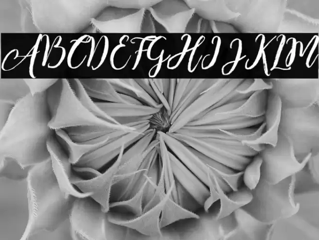 Enchanted Brush Font examples