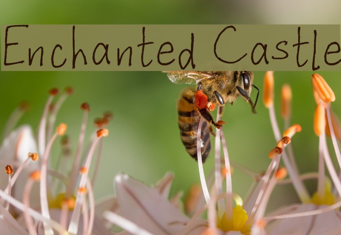 Enchanted Castle Font examples