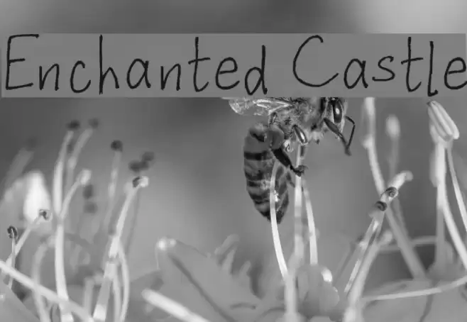 Enchanted Castle Font examples