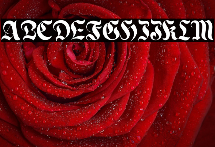 Enchanted Land DS Example 1