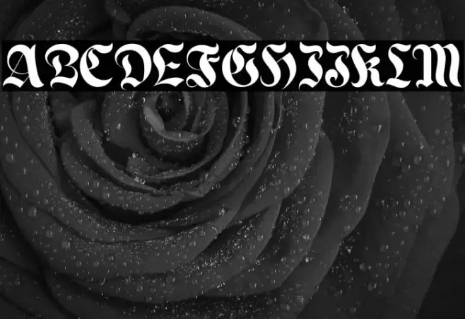 Enchanted Land DS フォント examples