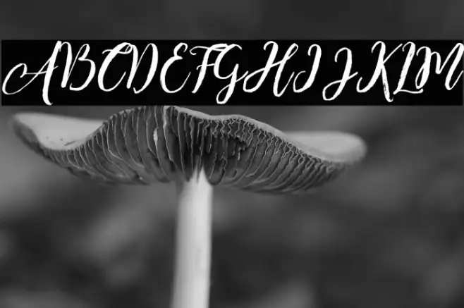 EnchantedBrush Example 2