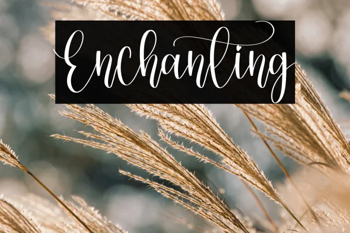 Enchanting Example 3