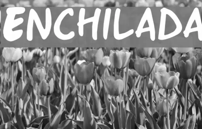 Enchilada Font examples