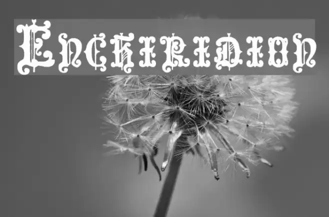 Enchiridion Font examples