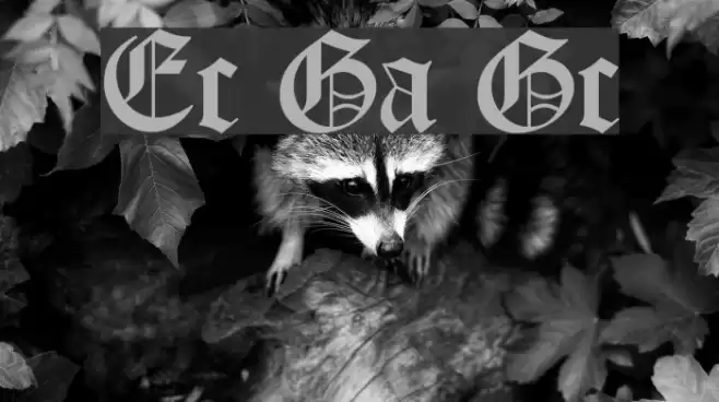 Encient German Gothic Шрифта examples