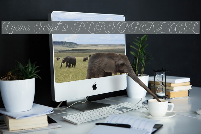 Encina Script 2 PERSONAL USE Example 2