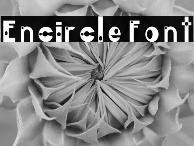 EncircleFont Font examples