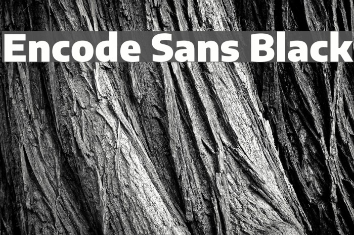 Encode Sans Black Font examples
