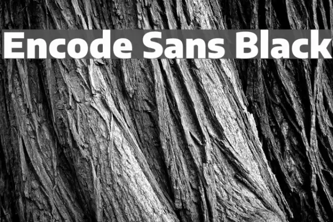 Encode Sans Black フォント examples