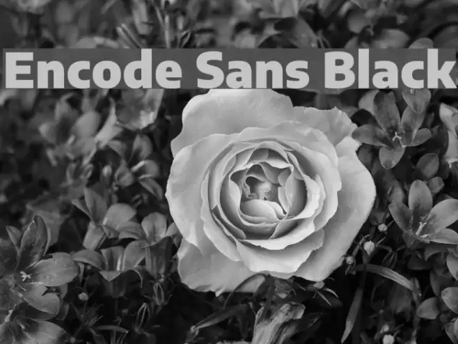 Encode Sans Black フォント examples