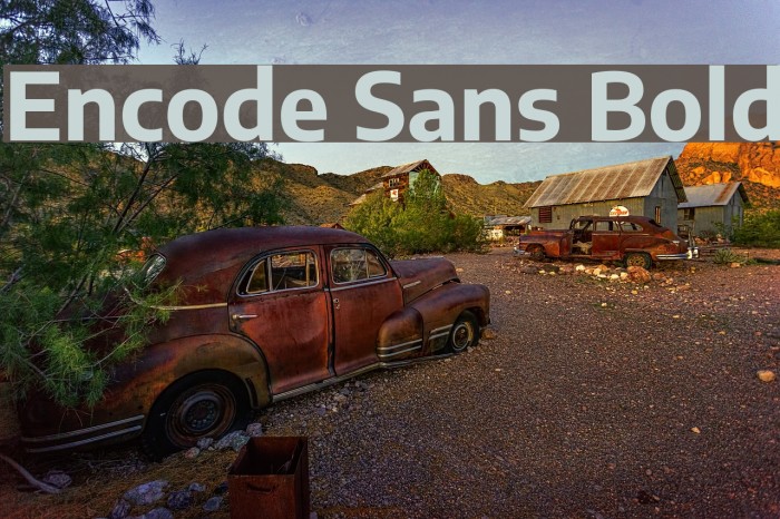 Encode Sans Bold Font examples