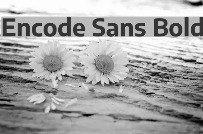 Encode Sans Bold フォント examples