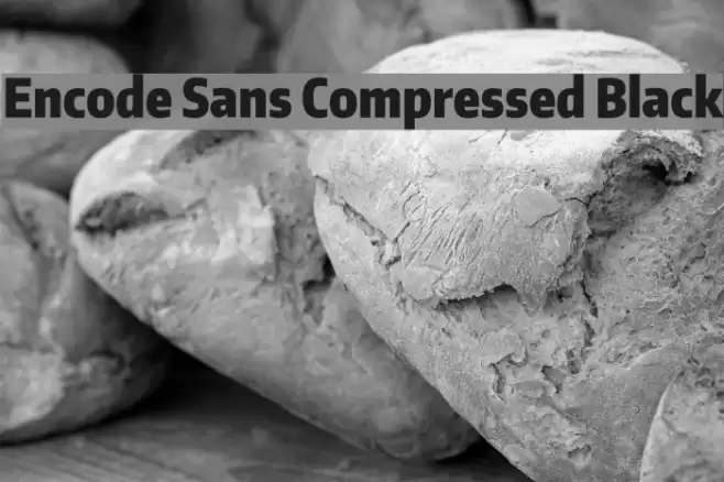 Encode Sans Compressed Black Font examples