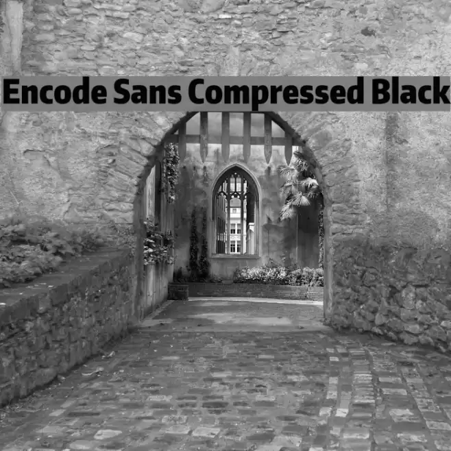 Encode Sans Compressed Black Font examples