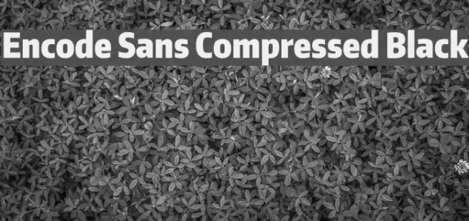 Encode Sans Compressed Black Font examples