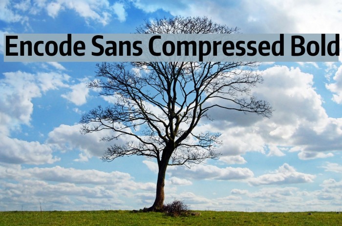 Encode Sans Compressed Bold Font examples
