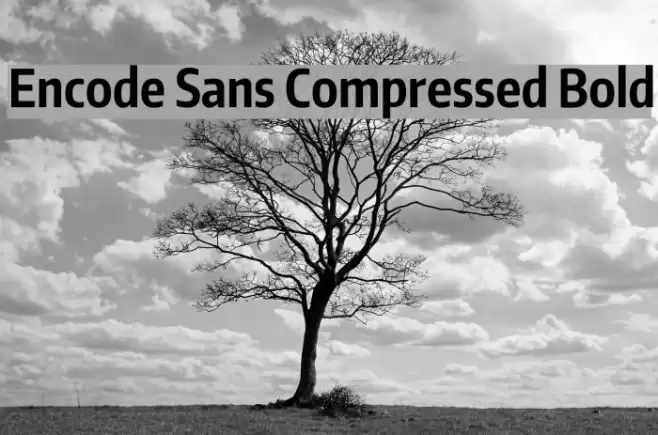 Encode Sans Compressed Bold Font examples