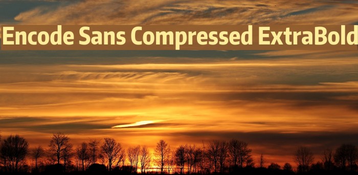 Encode Sans Compressed ExtraBold Font examples