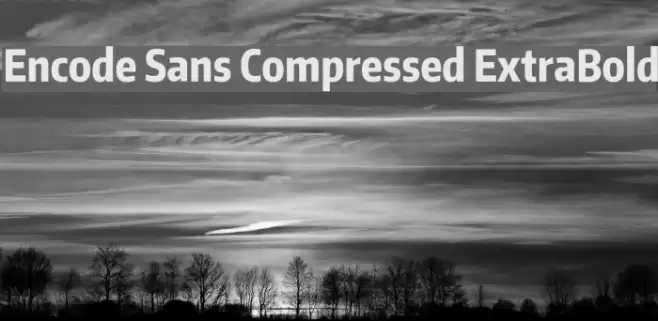Encode Sans Compressed ExtraBold Font examples